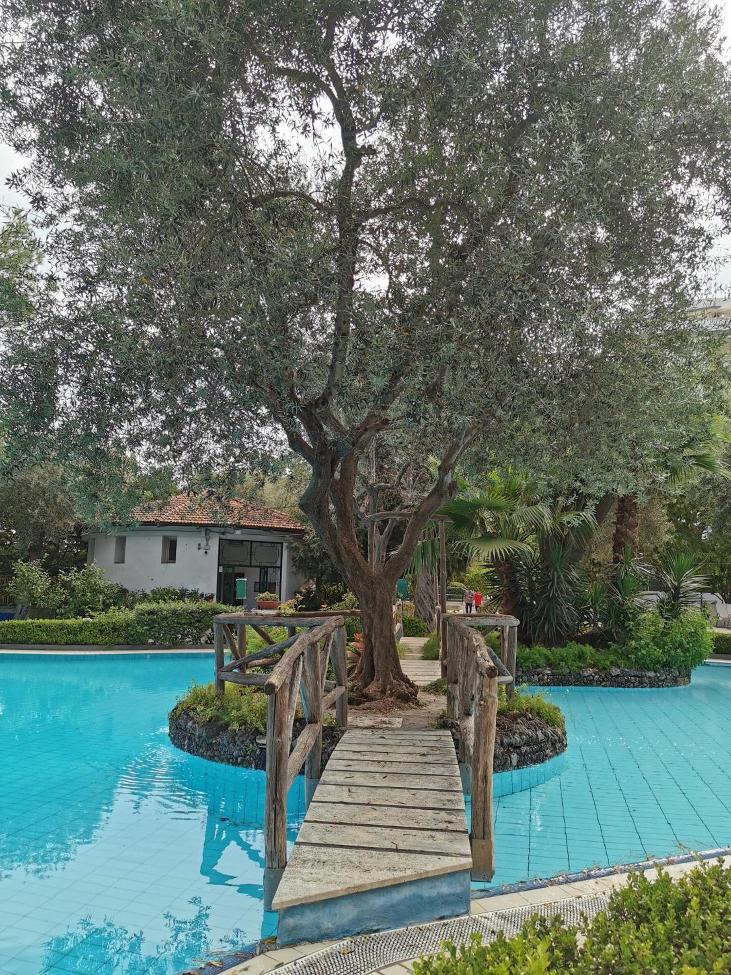 Casa Mar - Elegant Apartment With Pool And Panoramic Terrace In The Heart Of Sorrento Exterior foto